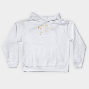 Aquarius Zodiac Constellation in Gold Kids Hoodie